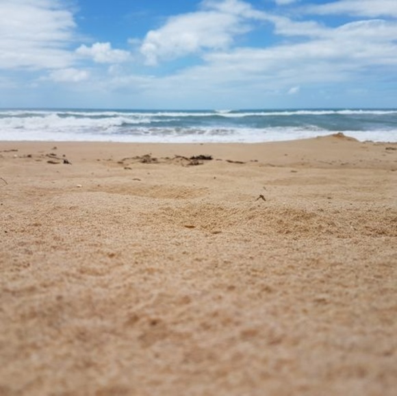 Meet your Posher, Tahlia - Picture 1 of 1